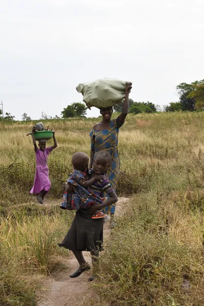 DSC_3151 (Large).JPG